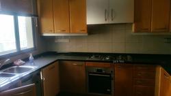 Twin Heights (D12), Apartment #151097842